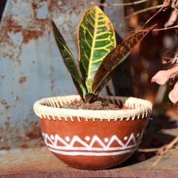 AFRO - Dekoratif Saksı