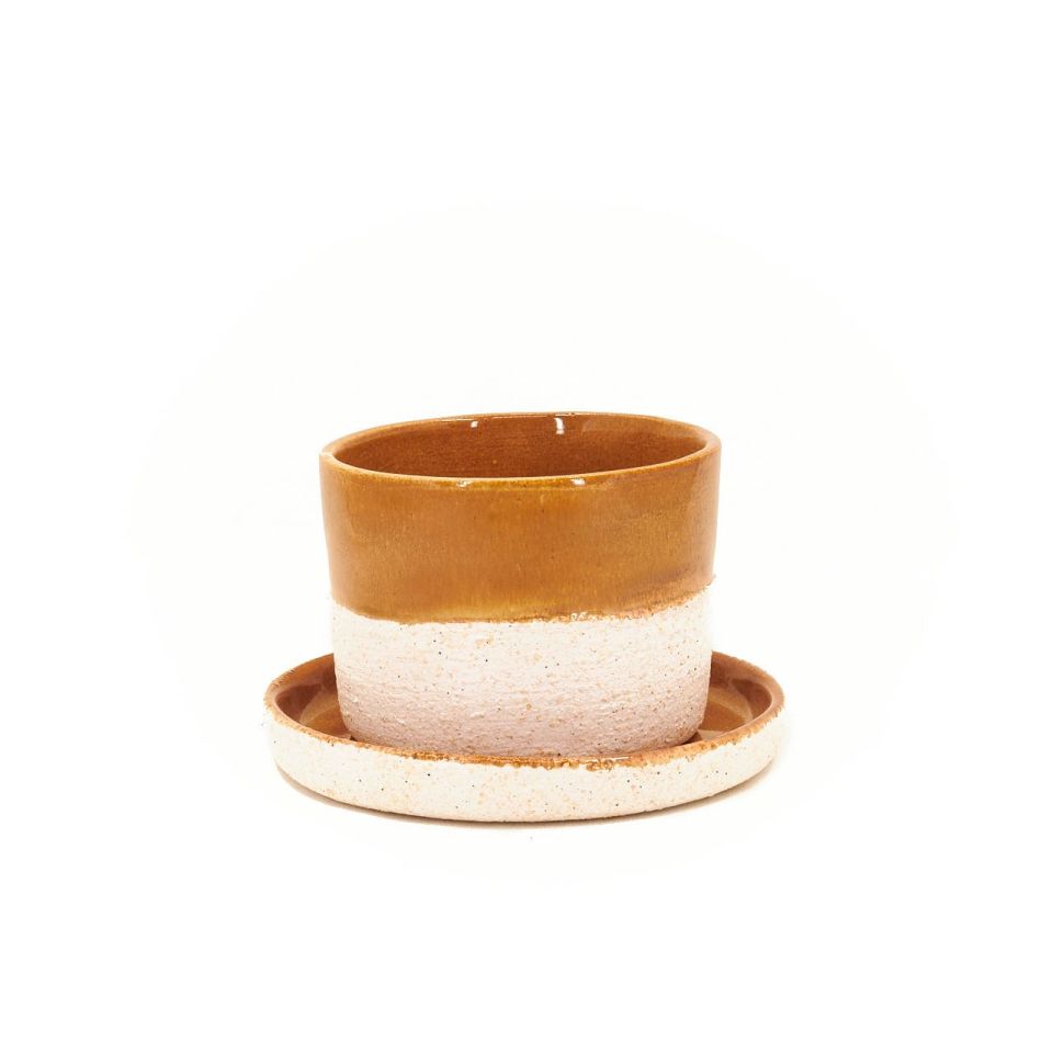 BOTZ Fincan LATTE